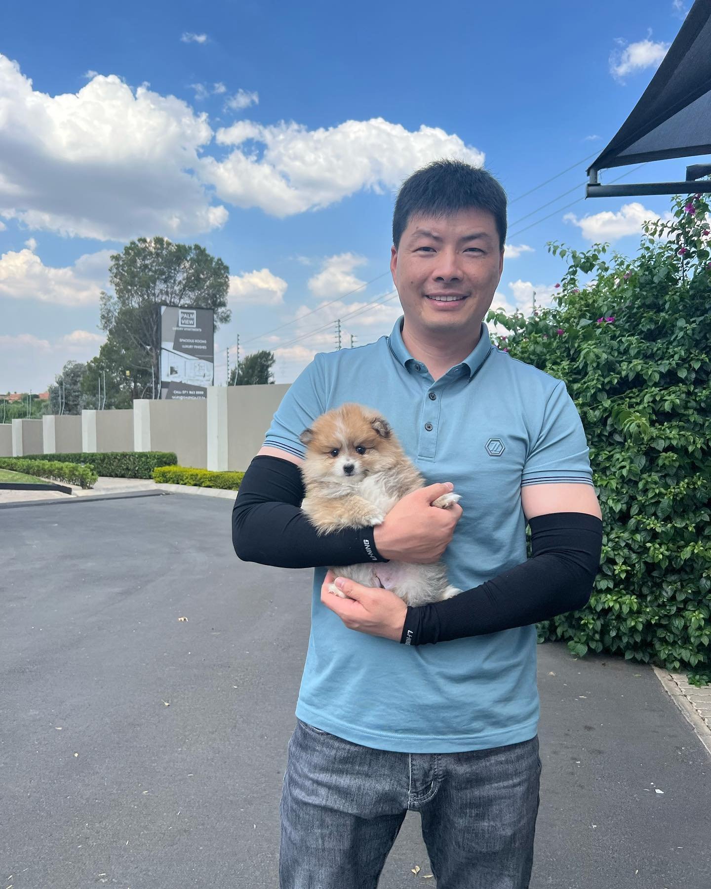 Testimonial thedog broker 1666962025 2959014393990207791 45267442664.jpg